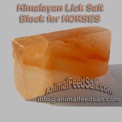 salt blocks for horses